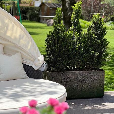Ameiserhof Guesthouse Collalbo Kültér fotó