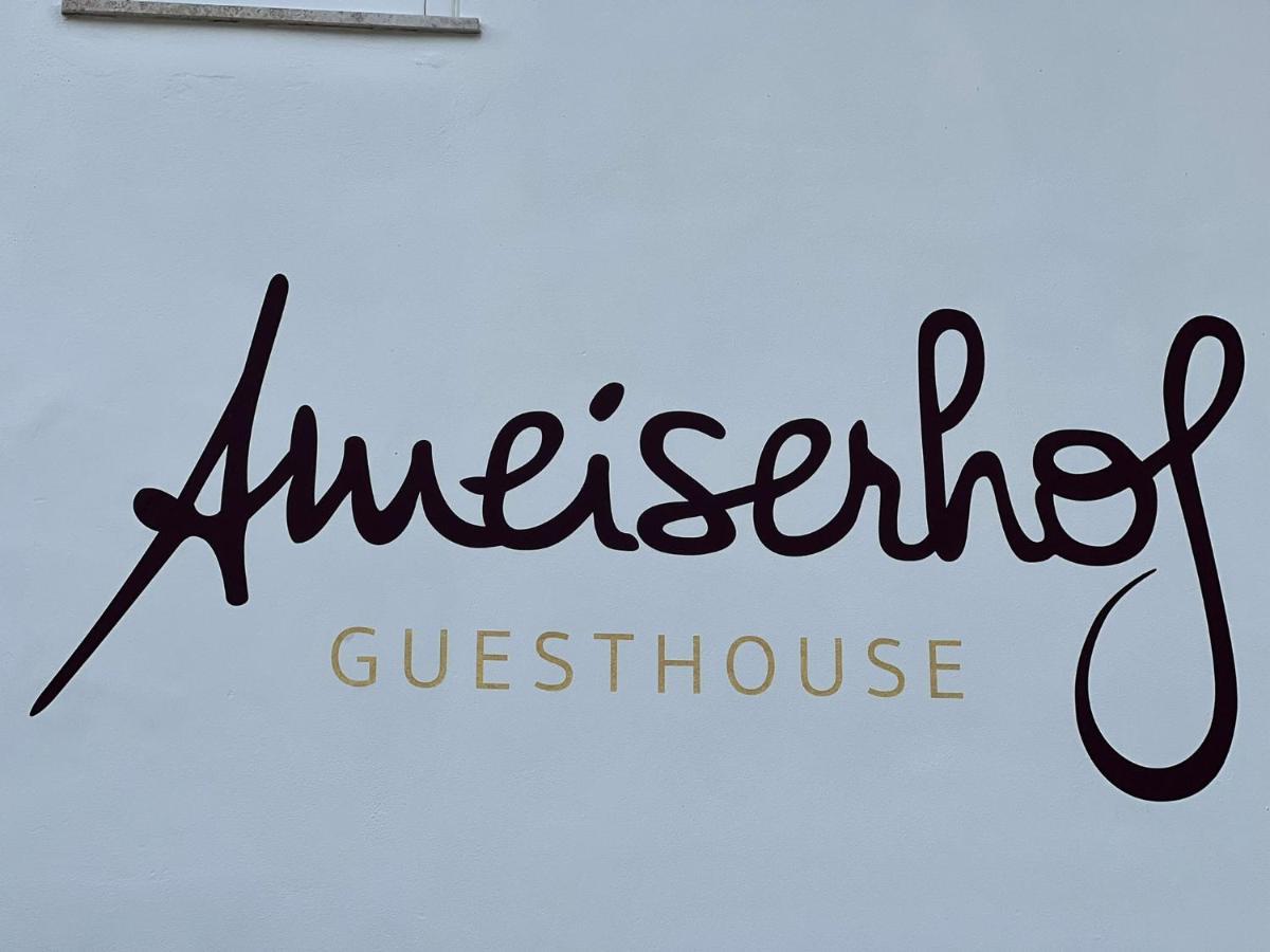 Ameiserhof Guesthouse Collalbo Kültér fotó