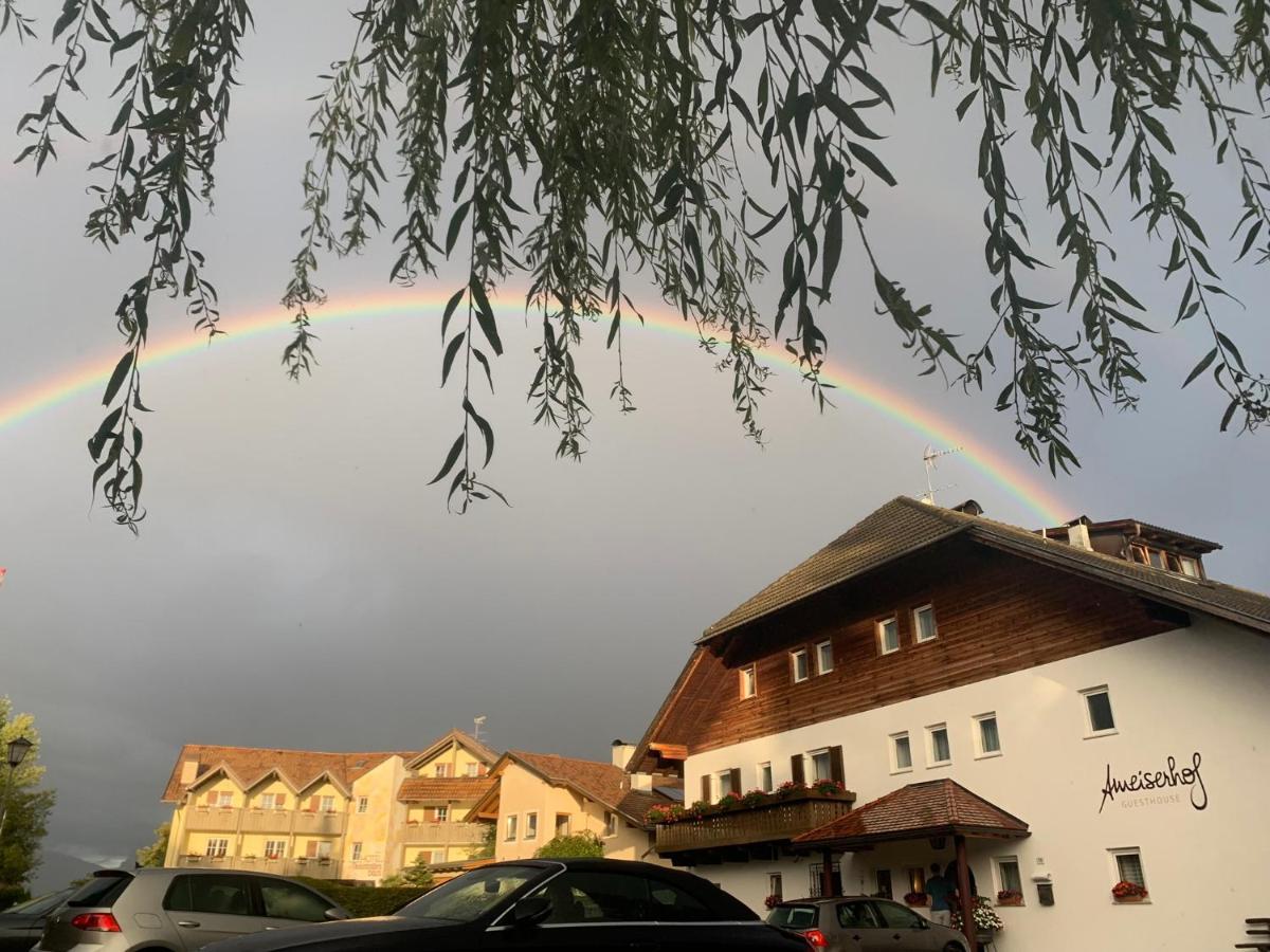Ameiserhof Guesthouse Collalbo Kültér fotó